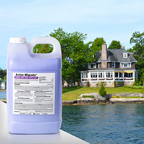 Avian Migrate Goose Deterrent, Bird Repellent Concentrate, Geese Repellent, Non-Toxic, Made in The USA, Removes Geese from Beaches, Yards, Ponds, Parks and Ground (One Gallon)