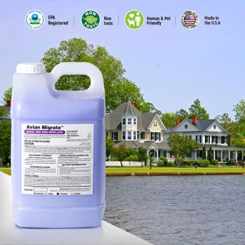 Avian Migrate Goose Deterrent, Bird Repellent Concentrate, Geese Repellent, Non-Toxic, Made in The USA, Removes Geese from Beaches, Yards, Ponds, Parks and Ground (One Gallon)