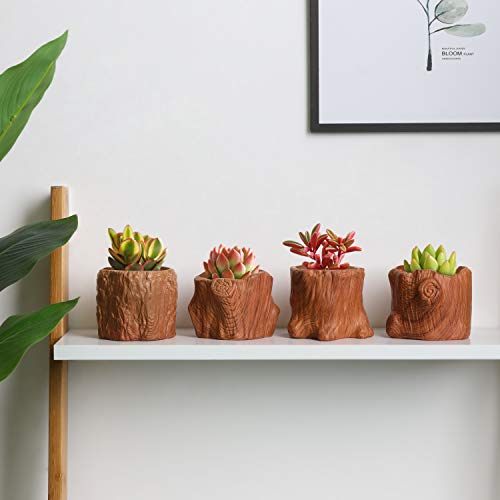 T4U Ceramic Succulent Pots Tree Stump Collection Set of 4, Imitation Wood Grain Small Planter Pot with Drainage, Brown Porcelain Herbs Cactus Bonsai Container for Home and Office Decoration