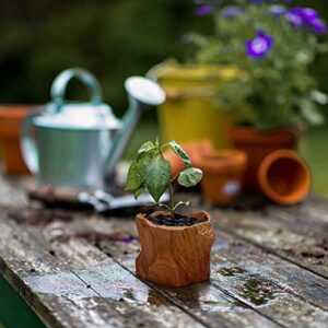 T4U Ceramic Succulent Pots Tree Stump Collection Set of 4, Imitation Wood Grain Small Planter Pot with Drainage, Brown Porcelain Herbs Cactus Bonsai Container for Home and Office Decoration