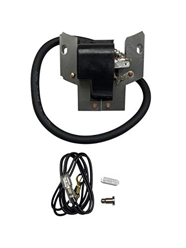 ENGINERUN 398593 Ignition Coil Module Magneto for Briggs & Stratton 3HP Engines 793281, 793352, 792594, 395489, 398593 496914