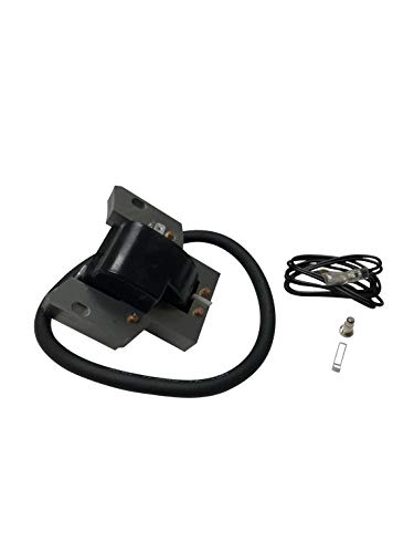 ENGINERUN 398593 Ignition Coil Module Magneto for Briggs & Stratton 3HP Engines 793281, 793352, 792594, 395489, 398593 496914