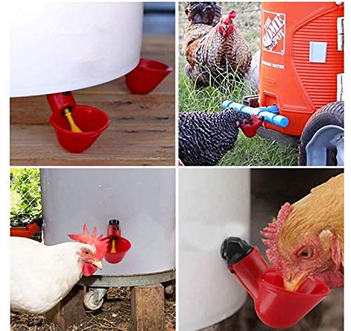 LIUSM 15 Pcs Chicken Water Bowls with Nuts, Plastic Poultry Waterer Feeder Breeding Equipment for Chicken Bird Quail Drinker