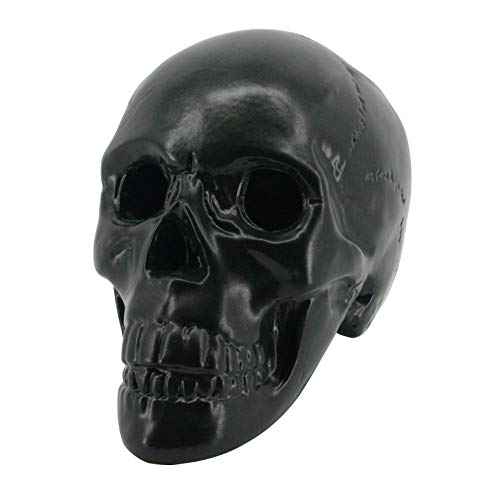 Myard Hollow Eye Sockets Human Skull Fire Gas Log for NG, LP Wood Fireplace, Firepit, Campfire, Home Decor, BBQ (Qty 1, Black)