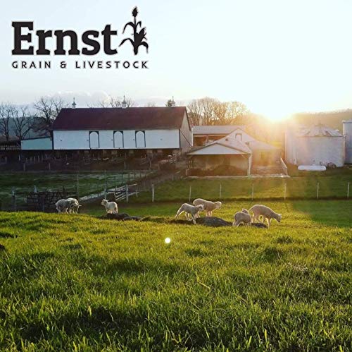 Ernst Grain Cracked Corn, Non-GMO – Perfect Feed for Ducks, Squirrels, Chickens, Ducks, Deer, Rabbits, Geese, and More! (50 lb)