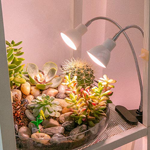 Aceple LED Grow Light, Dual Head Desk Clip Lamp for Indoor Plants with Full Spectrum, Adjustable Gooseneck and Timer Setting(6/10/12H)