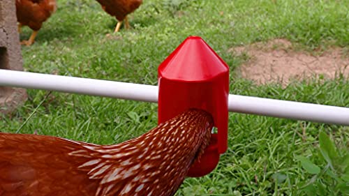 RentACoop Anti-Dirt Chicken Water Cup Covers - Compatible with Any RentACoop DIY Cups and Waterers - 6 Pack