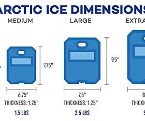 Arctic Ice Chillin' Cradle Series Ice Pack - Long Lasting High Performance X-Large (5 LBS) Ice Pack Curved Design for Sodas, Sports Drinks, Beer or Wine, Middle Divider, Freezes at 28 Degrees (2-Pack)