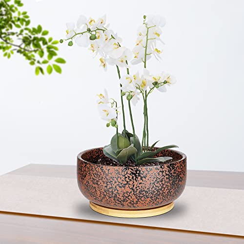 G EPGardening 8 Inch Terracotta Succulent Planter Pot with Drainage Hole Round Shallow Bonsai Planter Pot with Bamboo Saucer Flower Pot for Indoor Plants Black