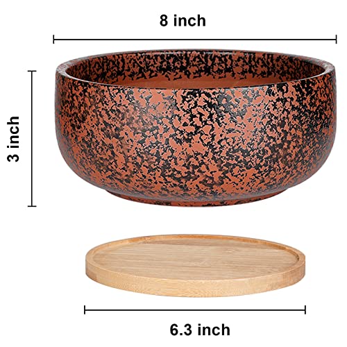 G EPGardening 8 Inch Terracotta Succulent Planter Pot with Drainage Hole Round Shallow Bonsai Planter Pot with Bamboo Saucer Flower Pot for Indoor Plants Black