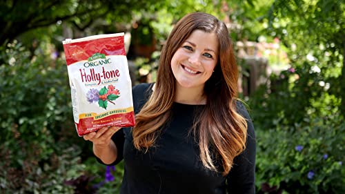 Espoma Organic Holly-Tone 4-3-4 Evergreen & Azalea Plant Food; 4 lb. Bag; The Original & Best Organic Fertilizer for All Acid Loving Plants Including Azaleas, Rhododendrons & Hydrangeas. Pack of 2