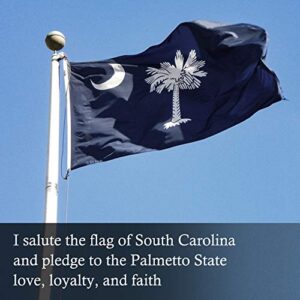 FLAGBURG South Carolina Flag 3x5 FT Outside, SC State Flags Embroidered Heavy Duty Nylon, Sewn Stripes, Canvas Header & Brass Grommets, High-Grade Outdoor Palmetto Flag for All-Weather