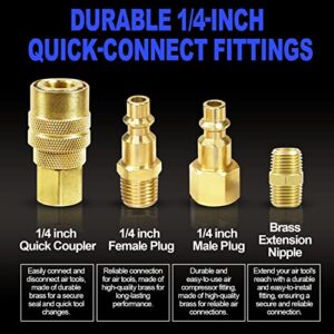LE LEMATEC 15pc Air Compressor Hose Fitting Kit with Storage Case, 1/4" NPT Quick Connect Air Tool Fittings, Solid Brass High Flow Connectors; 3 Male and 3 Female Plugs + 5 Male to Male