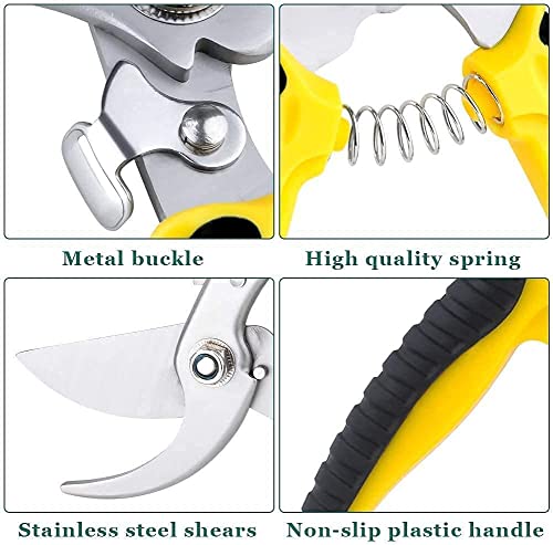 Garden Secateurs, Stainless Steel Pruning Shears, Garden Bonsai Tools, 3 Pack Ergonomic Garden Secateurs Set for Fruit Branch, Hedge, Fruits & Vegetables, Plants(With Garden Gloves and Box)