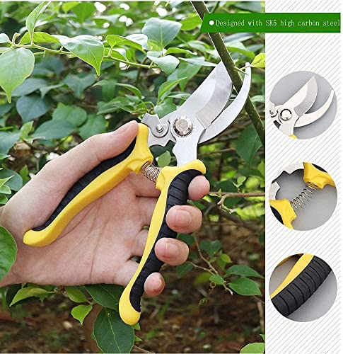 Garden Secateurs, Stainless Steel Pruning Shears, Garden Bonsai Tools, 3 Pack Ergonomic Garden Secateurs Set for Fruit Branch, Hedge, Fruits & Vegetables, Plants(With Garden Gloves and Box)