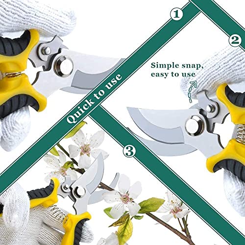 Garden Secateurs, Stainless Steel Pruning Shears, Garden Bonsai Tools, 3 Pack Ergonomic Garden Secateurs Set for Fruit Branch, Hedge, Fruits & Vegetables, Plants(With Garden Gloves and Box)