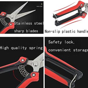 Garden Secateurs, Stainless Steel Pruning Shears, Garden Bonsai Tools, 3 Pack Ergonomic Garden Secateurs Set for Fruit Branch, Hedge, Fruits & Vegetables, Plants(With Garden Gloves and Box)