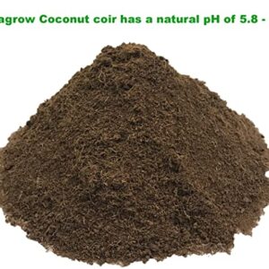 Viagrow VCCB650-3 Coco Coir, 3 Pack, Makes 2 Gallons / 7.5 Liters / 8 Quarts, 650g Brick