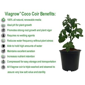 Viagrow VCCB650-3 Coco Coir, 3 Pack, Makes 2 Gallons / 7.5 Liters / 8 Quarts, 650g Brick