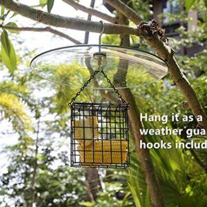 13 Inches Clear Glass Weather Guard and Squirrel Baffler for Wild Bird Feeders (Clear 1Pack)