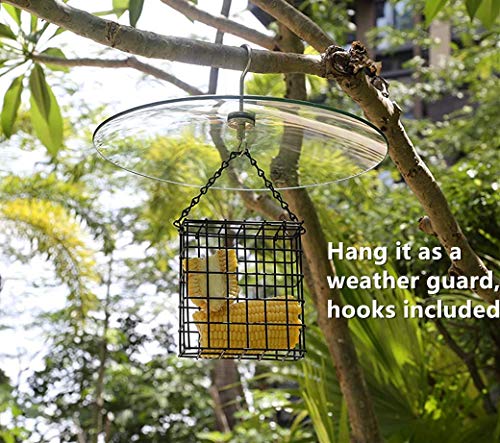 13 Inches Clear Glass Weather Guard and Squirrel Baffler for Wild Bird Feeders (Clear 1Pack)