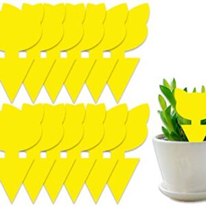 COSYWORLD 12 Pack Yellow Sticky Bugs Traps for Indoor/Outdoor Use, Gnat Trap for Flying Plant Insect Such as Fungus Gnats, Whiteflies, Aphids, Fruit Fly, Leafminers- Disposable Glue Trappers