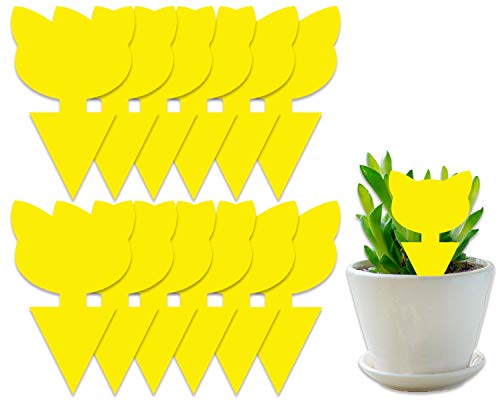 COSYWORLD 12 Pack Yellow Sticky Bugs Traps for Indoor/Outdoor Use, Gnat Trap for Flying Plant Insect Such as Fungus Gnats, Whiteflies, Aphids, Fruit Fly, Leafminers- Disposable Glue Trappers