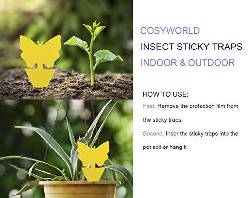 COSYWORLD 12 Pack Yellow Sticky Bugs Traps for Indoor/Outdoor Use, Gnat Trap for Flying Plant Insect Such as Fungus Gnats, Whiteflies, Aphids, Fruit Fly, Leafminers- Disposable Glue Trappers