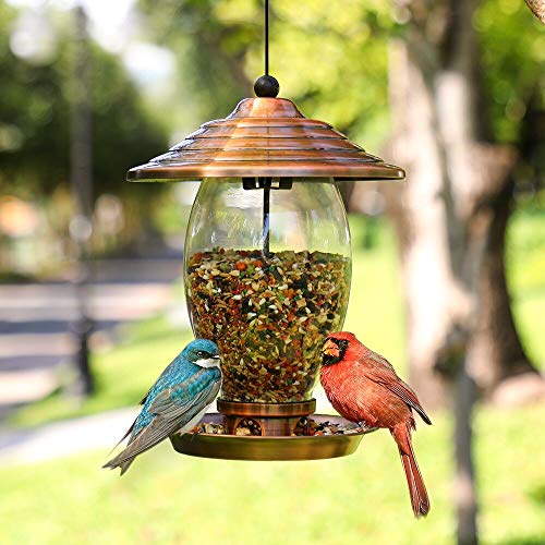 REALEAD Bird Feeder, Wild Bird Feeders for Outside,Metal and Glass Bird Feeder with 3 lbs Seed Capacity, Bird Feeders for Outdoor Hanging for Garden Yard