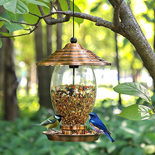 REALEAD Bird Feeder, Wild Bird Feeders for Outside,Metal and Glass Bird Feeder with 3 lbs Seed Capacity, Bird Feeders for Outdoor Hanging for Garden Yard