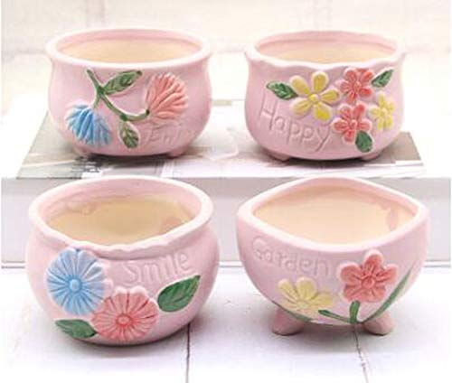 Maya Star 4 PCS Ceramic Succulent Plant Pot/Cactus Plant Pot Flower Pot/Container,Farmhouse Style Planter Bonsai Pots with A Hole A04