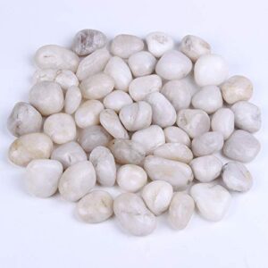 rocks for succulent plants or bonsai garden, 3lb bulk bag – 1 inch 20-30mm white decorative gravel pebbles for plants