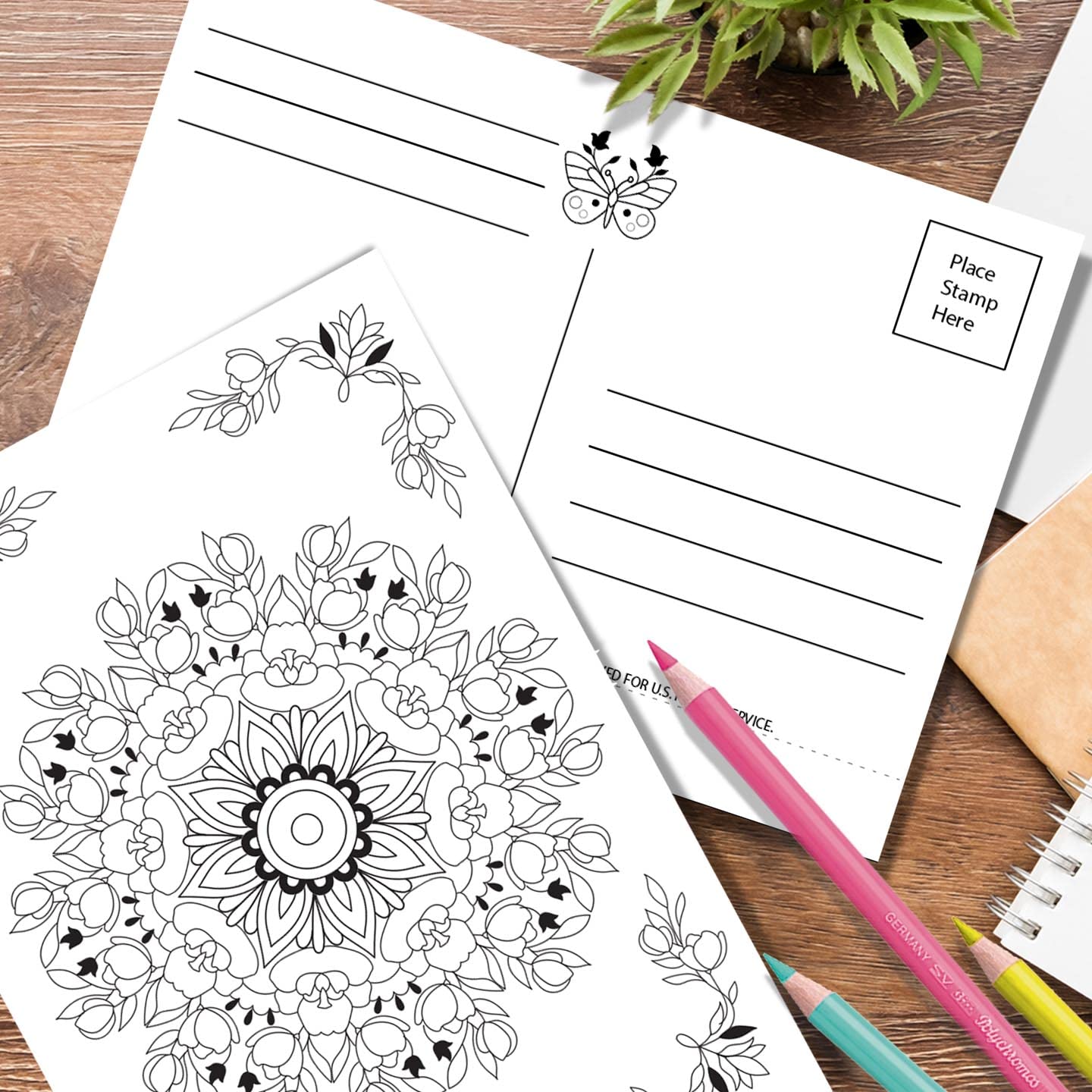 8 count | Mandala Coloring Postcards | Art Therapy | 8 unique Designs | Flower Mandala Art | Adult Coloring | Thank you cards | Birthday cards | Creativity and Relaxation