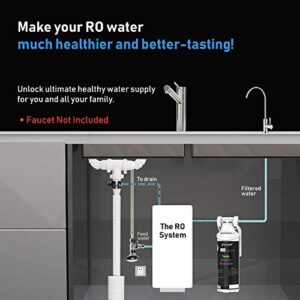 Frizzlife TAM3 Under Sink Inline Water Filter - Alkaline PH+ Remineralization, NSF/ANSI 42 Certified, Adjust Taste & PH, Restore Essential Minerals, 1/4" Pipe Fits for Reverse Osmosis Systems