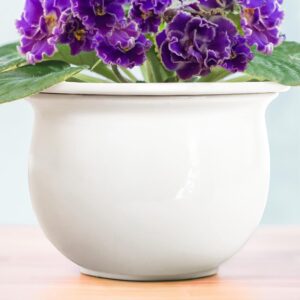 african violet pots ceramic 6.5”w x 4.6”h self watering planter for indoor flowers and plants – white glazed outer plant pot with highly absorbent inner planter pot for tropical plants
