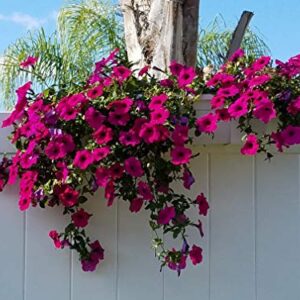 MIDE Products Aluminum Slip-on Flower Box Holders, for 1-3/4 inch to 2-1/8 inch Fence/Railing, White, Pair