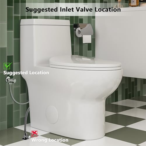 DeerValley DV-1F026 Ally Dual Flush Elongated Standard One Piece Toilet with Comfortable Seat Height, Soft Close Seat Cover, High-Efficiency Supply, and White Finish Toilet Bowl (White Toilet)