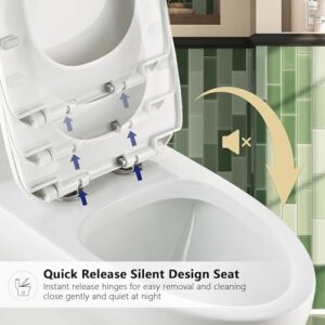 DeerValley DV-1F026 Ally Dual Flush Elongated Standard One Piece Toilet with Comfortable Seat Height, Soft Close Seat Cover, High-Efficiency Supply, and White Finish Toilet Bowl (White Toilet)