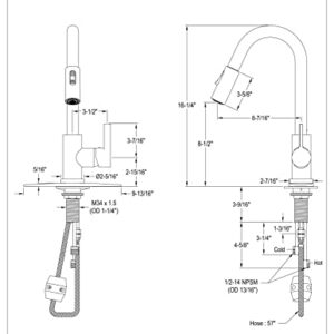 Kingston Brass LS8783CTL Continental Pull-Down Sprayer Kitchen Faucet, Brushed Brass