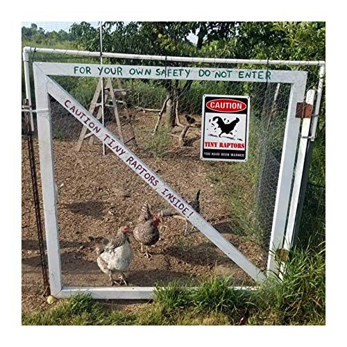 GLOBLELAND 2Pack Caution Tiny Raptors Sign Aluminum Chicken Coop Signs for Farm Kitchen Rooster Hen House Decor Beware of Chicken Signs for Chicken Lady Lovers, 7x10inches Waterproof