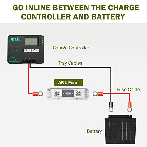 HQST 30 Amp ANL Fuse with Transparent Holder Fits for 10/8/6/4/2/0 Gauge Wire