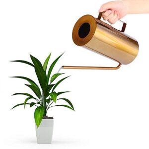 Watering Can 50oz/1.5L Stainless Steel Long Spout House Bonsai Plants Garden Pot Flower Watering Can Irrigation Tool(Gold)