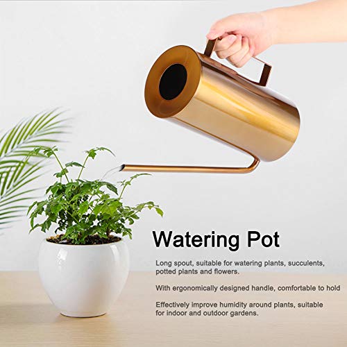 Watering Can 50oz/1.5L Stainless Steel Long Spout House Bonsai Plants Garden Pot Flower Watering Can Irrigation Tool(Gold)