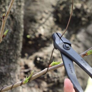 Wazakura Forged Japanese Bonsai Tool Set MADE IN JAPAN, Bonsai Tree Wire Cutter 7.7inch(195mm) + Bonsai Pliers 8.25inch(210mm)