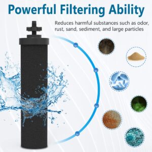 2 Pack Water Filter Compatible with Black Purification Elements Purifier Gravity Doulton Super Sterasyl and Traveler Nomad King Big Series