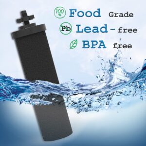 2 Pack Water Filter Compatible with Black Purification Elements Purifier Gravity Doulton Super Sterasyl and Traveler Nomad King Big Series