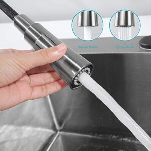 AMAZING FORCE Brushed Nickel Kitchen Faucet with Soap Dispenser Single Handle Kitchen Sink Faucet with Pull Down Sprayer Utility Sink Faucet Single Hole for Laundry Sink Stainless Steel Black Hose