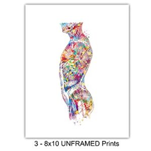 Modern Human Anatomy Room Decorations - Gift for Doctor, Nurse, Physicians Assistant, RN - Room Decor Wall Art Set for Medical Office, Home, Apartment, Living Room - Set of 3-8x10