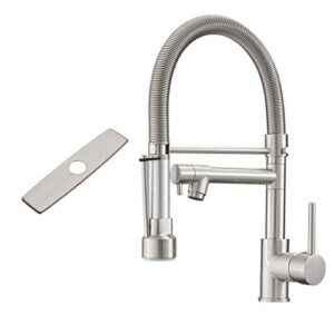 fapully kitchen faucet with sprayer,single handle kitchen faucet with hole cover brushed nickel