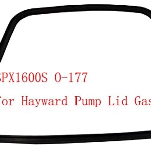 XVRTJ Parts Shop Replacement SPX1600S O-177 for Hayward Pump Lid Gasket (1Pack)